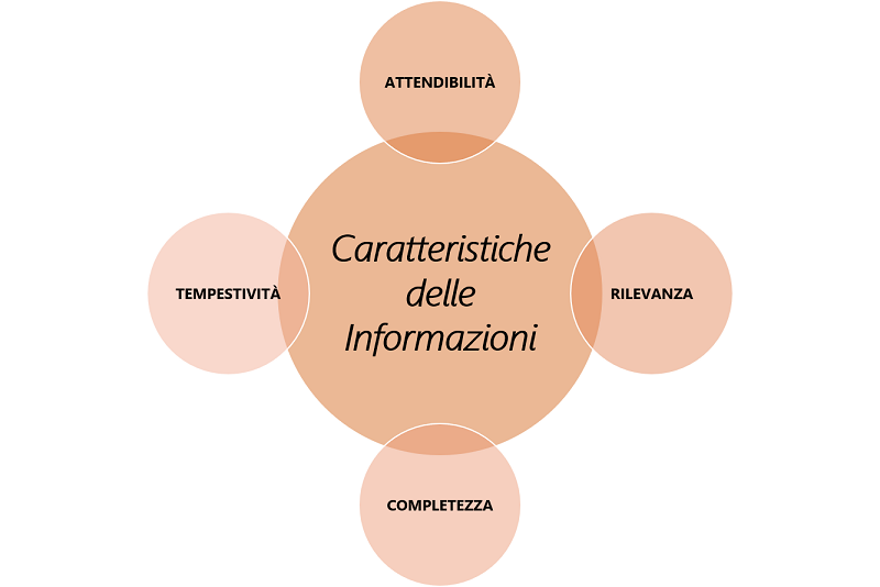caratteristica delle informazioni del controllo strategico